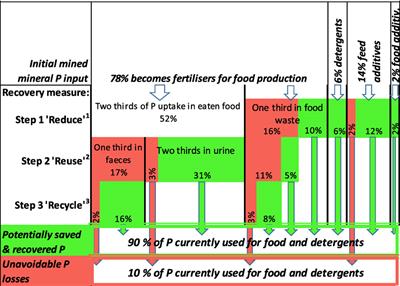 Extending the European Union Waste Hierarchy to Guide Nutrient-Effective Urban Sanitation toward Global Food Security—Opportunities for Phosphorus Recovery